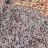 خریدارپوست مرغ به بالا ترین قیمت