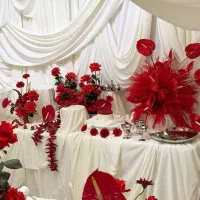 اجاره انواع لوکیشن سالن اجتماعات،روف،باتشریفات|خدمات پذیرایی، مراسم|تهران, قیطریه|دیوار