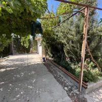 2400 باغ 8ساله  ورودی هماشهر|فروش خانه و ویلا|همایجان, |دیوار