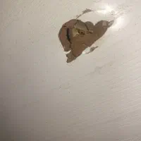 درب ورودی چوبی|مصالح و تجهیزات ساختمان|اهواز, کمپلو شمالی|دیوار