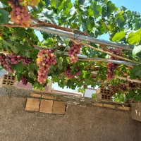 منزل نقلی دوطبقه|فروش خانه و ویلا|نجفآباد, شیخ آباد|دیوار