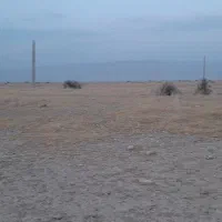 اجاره-ده-هکتار-زمین-دیم-در-برتش-صدتومن