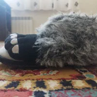 کفش روفرشی