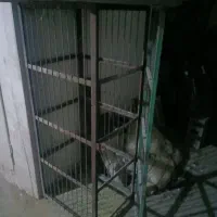 کفتر .جفت کن چهار طبقه