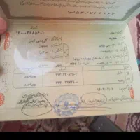 شناسنامه و کارت پایان خدمت|اشیا|خمینیشهر, |دیوار