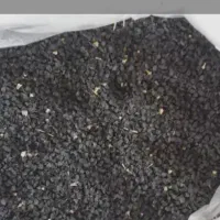 تخم پیاز قرمز اناری ۷ پوست