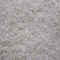 برنج فجر و دمسیاه و لاشه...|خوردنی و آشامیدنی|گنبد کاووس, |دیوار