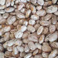 برنج و حبوبات|خوردنی و آشامیدنی|تبریز, |دیوار