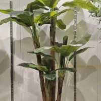 درختچه مصنوعی لمسی پرنده بهشتی ، موز ، لیراتا