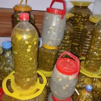 فروش ترشی گلک موسیر و غنچه گلک کاملا بهداشتی|خوردنی و آشامیدنی|شیراز, شهرک فرهنگیان|دیوار