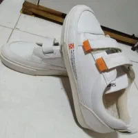 نو هنوز داخل کارتنن