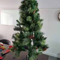 نور و وسایل عکاسی|دوربین عکاسی و فیلم‌برداری|یزد, |دیوار