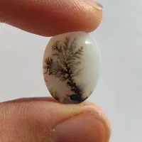 دیدنی های خاص