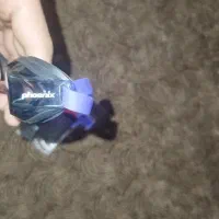 عینک شنا فونیکس کره ای اصل