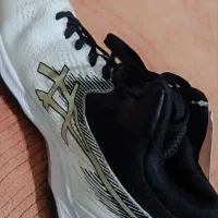 کفش والیبال ارجینال|ورزشهای توپی|تربتحیدریه, رضاشهر|دیوار