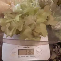 گلبرگ گل کریستالی خارجی