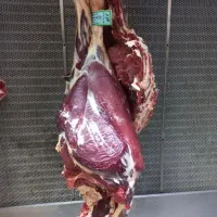 گوشت گوساله و گوسفند گرم درجه ۱