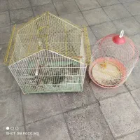 قفس پرنده