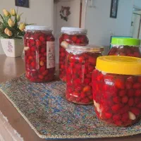 ترشی ذغال اخته