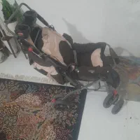 کالسکه