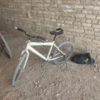 دو عدد دوچرخه|دوچرخه، اسکیت، اسکوتر|یزد, |دیوار