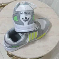 کفش ورزشی ۴۳