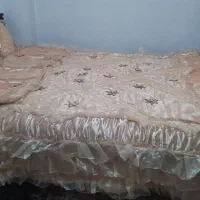 رو تختی عروس|سرویس روتختی|شیراز, میانرود|دیوار