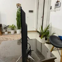 تلویزیون ۴۳ سونیا  تمیز و سالم|تلویزیون و پروژکتور|رامسر, |دیوار