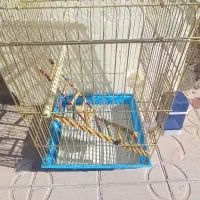 قفس طوطی سانان