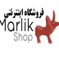 راه اندازی سیستم هوش مصنوعی