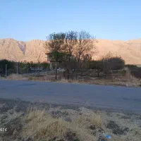 باغ|فروش زمین و ملک کلنگی|کرمانشاه, |دیوار