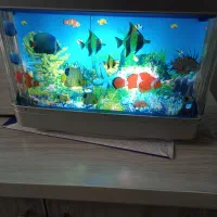 شب خواب زیبا