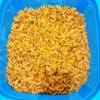 کشمش سبز و زرد درجه یک