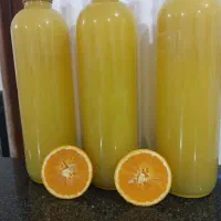 آب نارنج تر و تازه شمالی