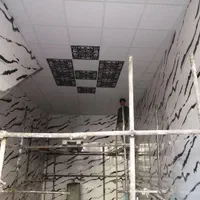 اجرای سقف کادب(پلکسی،تایل۶۰در۶۰،پیوسی)|خدمات پیشه و مهارت|سنندج, |دیوار