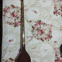 سه تار استاد محمود صادق محمدی|سازهای سنتی|سنندج, |دیوار