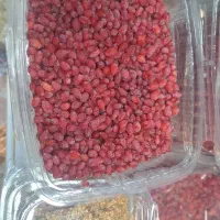 زرشک تازه ناب بیرجند|خوردنی و آشامیدنی|تربت جام, پاسداران|دیوار