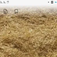 کاه.جو ۴۰.انبار فروش