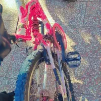 دوچرخه سایز 24|دوچرخه، اسکیت، اسکوتر|کرج, فاز ۲ مهرشهر|دیوار