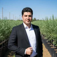 سرمایه‌گذاری زودبازده و کم‌ریسک، صنوبر طلایی|گل و گیاه طبیعی|آذرشهر, |دیوار