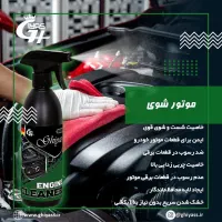 محصولات پاک کننده خانگی / خودرویی / کارواش|مواد شوینده و دستمال کاغذی|تهران, شهرآرا|دیوار
