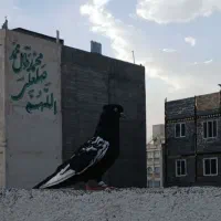 فقط معاوضه