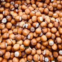 فندوق اشکور درجه یک
