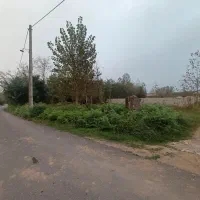 زمین 250 متری کاملا مسکونی