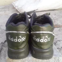 فروش|کیف، کفش، کمربند|خوی, |دیوار