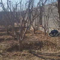 باغ-باغچه-ویلا