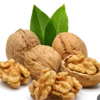 خریدار گردو