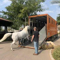 اسبکش های ۲ و ۴ اسبه ایمن پادوک