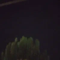 کارگر کاشیکاری
