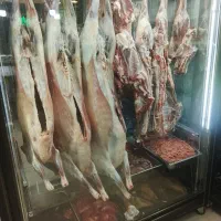 حسابدار خانم